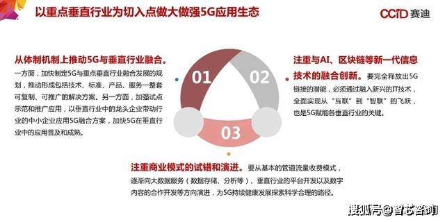 2024新奥156期精准资料,精选解释解析落实高级版230.280