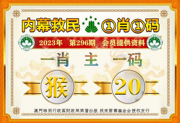 一肖一码一必中一肖,最佳精选解释落实专享版240.310