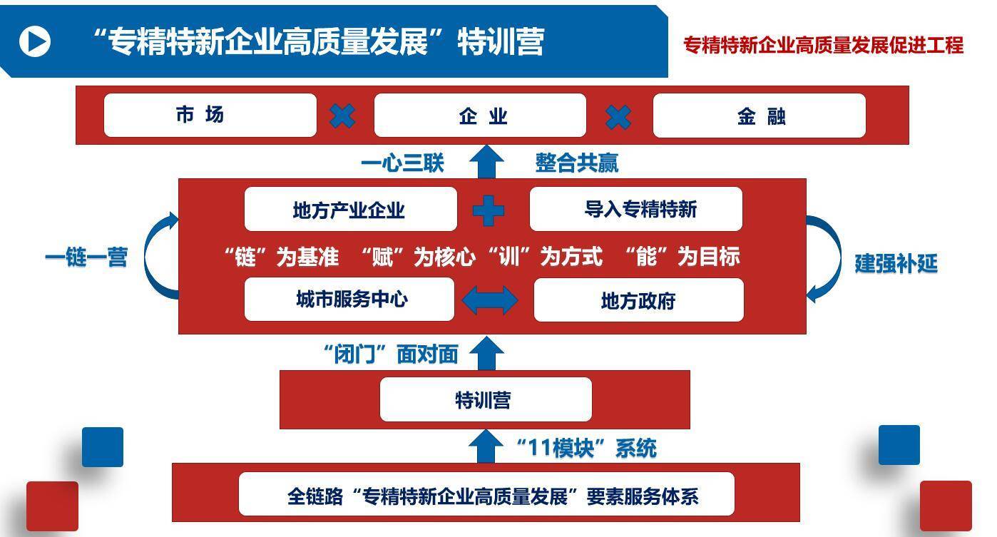 广东省支持专精特新，推动经济高质量发展的新动力