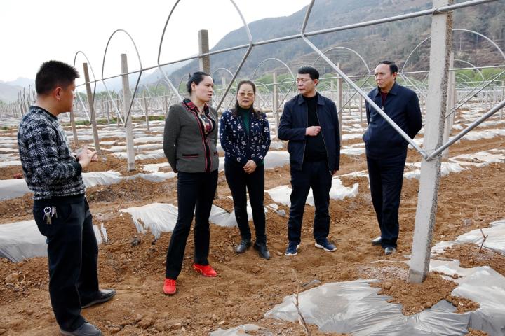 广东永安药业有限公司，引领医药行业，铸就健康未来