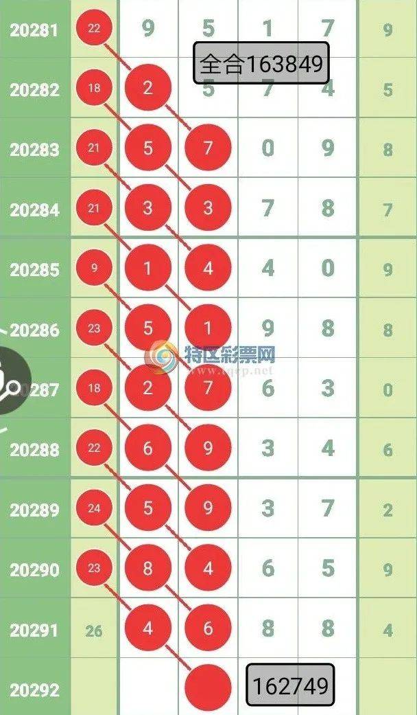 一肖一码一一肖一子深圳,富强解释解析落实高效版200.350