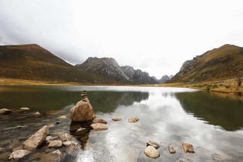 孕妇8个月流水正常吗？解读孕期生理现象